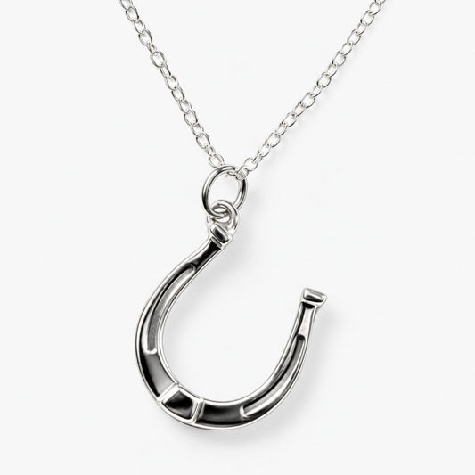 A silver horseshoe-shaped pendant necklace with a small clear gemstone accent at the top, shown on a delicate silver chain against a light blue background.